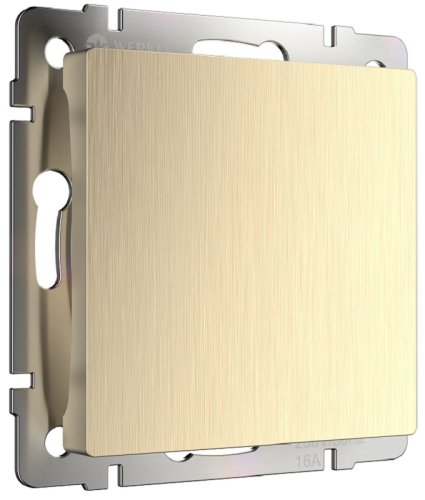 Заглушка без рамки Werkel шампань рифленый фото Заглушка без рамки Werkel шампань рифленый картинка